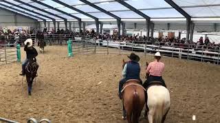 Master AFET  Cheval Passion 2023  Ranch Sorting  Finales [upl. by Anyak297]