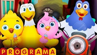 Un tímido papá de Pollo A Timid Chicken Daddy  ChuChu TV Huevos Sorpresa [upl. by Aikram]