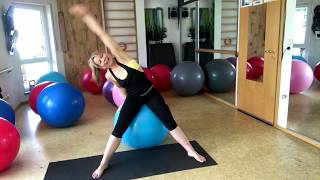 WorkoutIdeen mit dem FitBall 15 Min CardioKraftübungenFatburner amp Stabilisation [upl. by Moseley473]