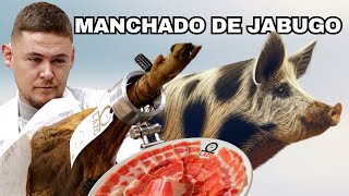 EL JAMÓN MÁS CARO DEL MUNDO [upl. by Atinniuq33]