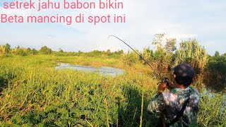 gawat asli spot ini banyak Toman nya bikin betA mancing [upl. by Columbyne]