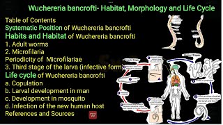 Classification general characteristics distribution Lifecycle mode of infection of wuchereria [upl. by Oicirtap]