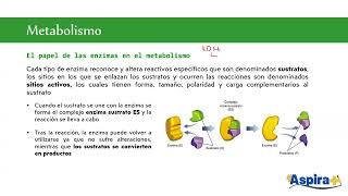 Biología Unidad 2 Sesión 1 UNAM SUAyED  2025 [upl. by Latyrc677]