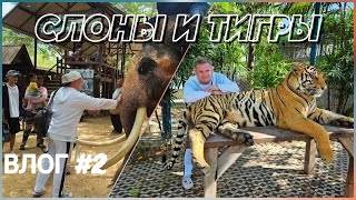 ВЛОГ 2 Тур в Таиланд Паттайя Слоновый заповедник и Tiger Park [upl. by Eedahs513]