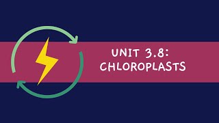 Unit 38 Chloroplasts [upl. by Rowena555]