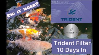 Pond fines Nexus Trident upflow filter upgrade  10 days ownership  but did it work Qa’s answered [upl. by Bennion]