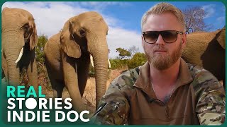 Veterans Vs Poachers Wildlife Protection Documentary [upl. by Nenney384]