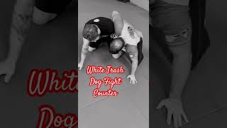 julesbruchez nogi jiujitsu dogfight saddle leglock acadianajiujitsu shorts [upl. by Eoin]