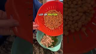 Mediterranean Bean Salad with Chickpeas  Blue Zones Diet Recipe [upl. by Iarahs738]