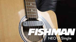 Review Captador Passivo Fishman Neo D Single [upl. by Edelsten]