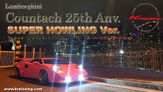 CountachReal F1Sound Exhaust Of Kreissieg ★ Super Howling VerLamborghini [upl. by Tteirrah]