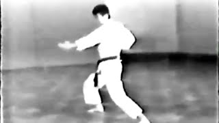 ChitoRyu Karate Kata • Sanshiryu [upl. by Glover]