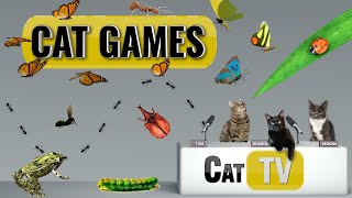 CAT Games  Ultimate Cat TV Bugs and Butterflies Compilation Vol 5 🪲 🐞🦋🦗🐜  Videos For Cats to Watch [upl. by Royal]