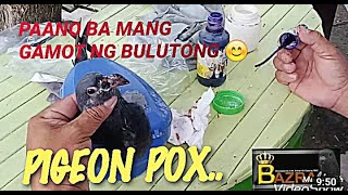 HOW TO CURE PIGEON POX quotBulutong sa Kalapatiquot [upl. by Nahguav]