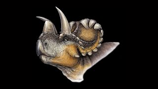 Wendiceratops pinhornensis [upl. by Letta]