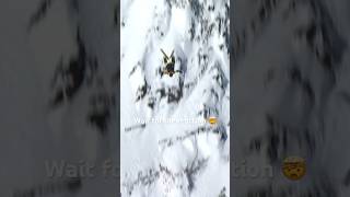 We lost our minds over that Max Hitzig backflip 🤯 FWT [upl. by Ruff]