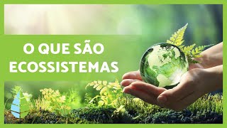 Definição e TIPOS de ECOSSISTEMAS 🏜️🏙️🌅 [upl. by Kora]