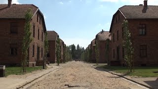 Auschwitz  Episode 1 Stamlager [upl. by Anait]