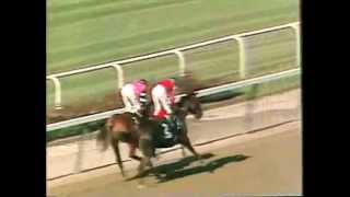 Affirmed  1978 Belmont Stakes CBS footage [upl. by Adolf]