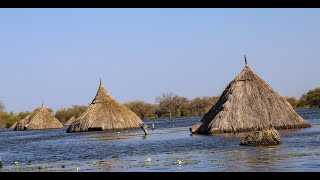 IOMs Flood Response in Bentiu South Sudan [upl. by Genet502]