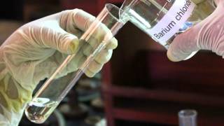 Reaction Between Sodium Sulphate and Barium Chloride Solution  MeitY OLabs [upl. by Cia]