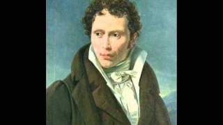 Partially Examined Life podcast  Schopenhauer  Principle of Sufficient Reason [upl. by Eladnek]