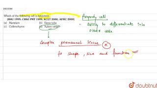 Which of the following cell is totipotent [upl. by Mccormick854]