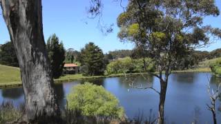 Imagine Apple Tree Cottage Romantic Accommodation Adelaide Hills Country Cottages [upl. by Aelaza]