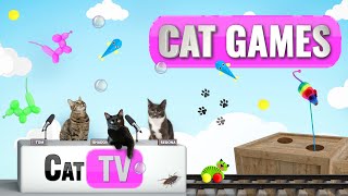 Cat Games  Ultimate Cat TV Compilation Vol 5  🦎 🐠 🐹 🐟 🎉 [upl. by Laehcim]