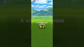 Shiny Poochyena in the Wild dodgemon shinypokemon poochyena pokemon [upl. by Ynatirb]