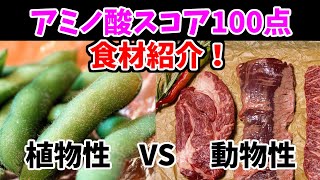 アミノ酸スコア100点の食材を紹介【アミノ酸スコア】 [upl. by Marsh]