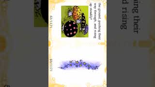 Flips Enid Blyton  Faraway Tree Stories Gameplay Nintendo DS [upl. by Haelam]