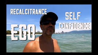 Recalcitrance Ego and Self confidence [upl. by Milburr]