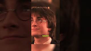 Harry Potter’s Best Moments With Hagrid [upl. by Stoll]