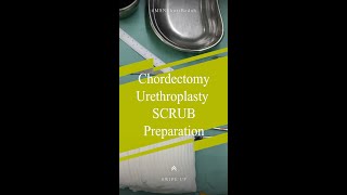 Persiapan Scrub Nurse Chordectomy Urethroplasty [upl. by Dominick]