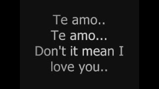 Rihanna  Te Amo Lyrics [upl. by Assilla]