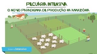 Pecuária Intensiva Novo Paradigma de Produção da Amazônia IPAM Amazônia  legendado em inglês [upl. by Ainival385]