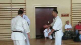 Limanowski Klub Kyokushin Karate  Egzamin na stopnie Kyu  23062007 r [upl. by Gilly684]