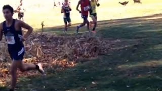 Raw Runner Hit By Deer During Race [upl. by Buke]