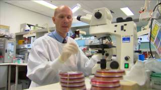 Day in the Life  Microbiology  Virology  Prof Bill Rawlinson [upl. by Silloh]