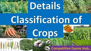 Detail Classification of Agricultural crops [upl. by Airdnaz]