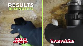 MOLD ARMOR Rapid Clean Remediation [upl. by Januisz]