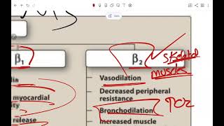 ZU Pharmacology  Lecture 15 Sympathomimetics [upl. by Renita]