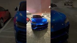 Which URUS are YOU choosing 😱 automobile cars shorts [upl. by Datha]