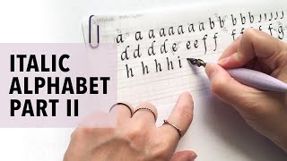 Italic Calligraphy  Alphabet Demo Part II  Broad Edge Pen Calligraphy Tutorial [upl. by Berlin]