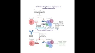 CD155 Breaking Immune Suppression in Tumor Environments [upl. by Garlinda856]