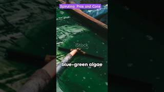 Pros and Cons of Spirulina Farming  Farm Modernization  Future of agriculture viral shorts [upl. by Suivatra]