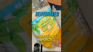 Dehydrated Diluting Juice airfryer cooking snacks food picnic pincichack dehydrate squash [upl. by Roxie83]