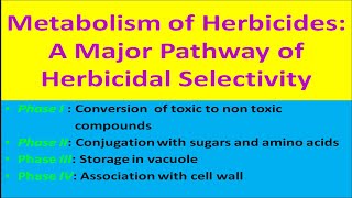 Metabolism of Herbicides A Major Pathway of Herbicidal Selectivity [upl. by Etnaid]