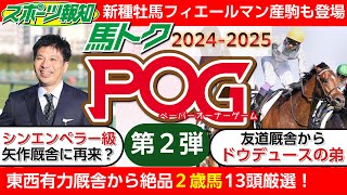 【POG情報20242025】最新2歳馬を13頭厳選！ドウデュースの弟、初のフィエールマン産駒、シンエンペラー級の良血など…競馬 pog 2歳馬情報 [upl. by Andrade]